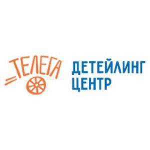 Детейлинг центр Телега в Брянске. - Город Брянск logo (1).jpg